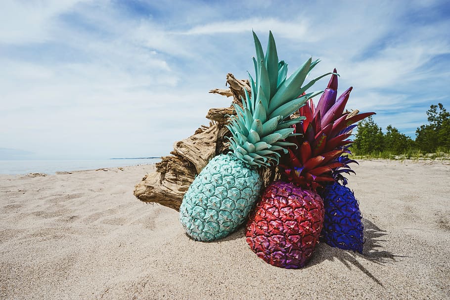 pineapples, brown, driftwood, sand, seashore, daytime, pineapple, dessert, appetizer, fruit