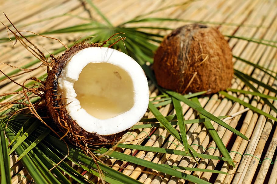 фотографии кокосовые орехи | Pxfuel