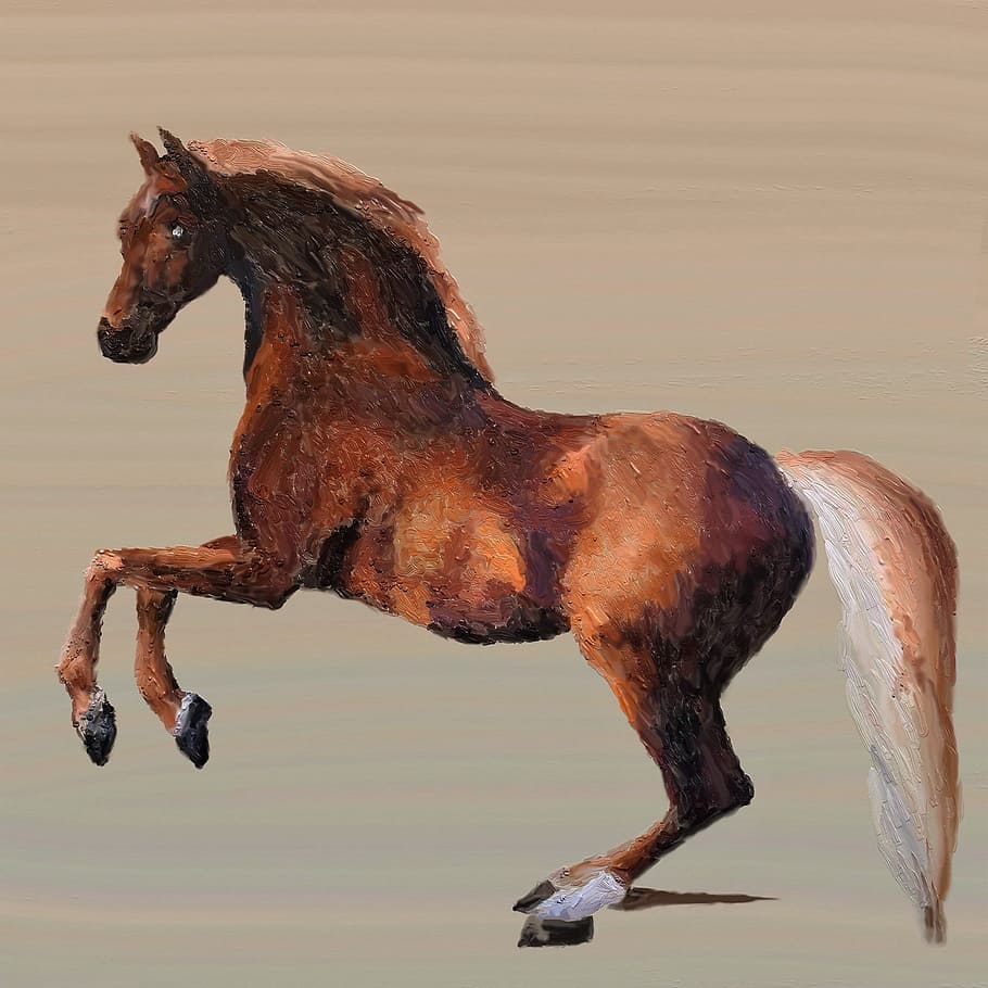horse, animal, animal world, horse head, horse stable, pferdeportrait, brown horse, reitstall, reiterhof, ride