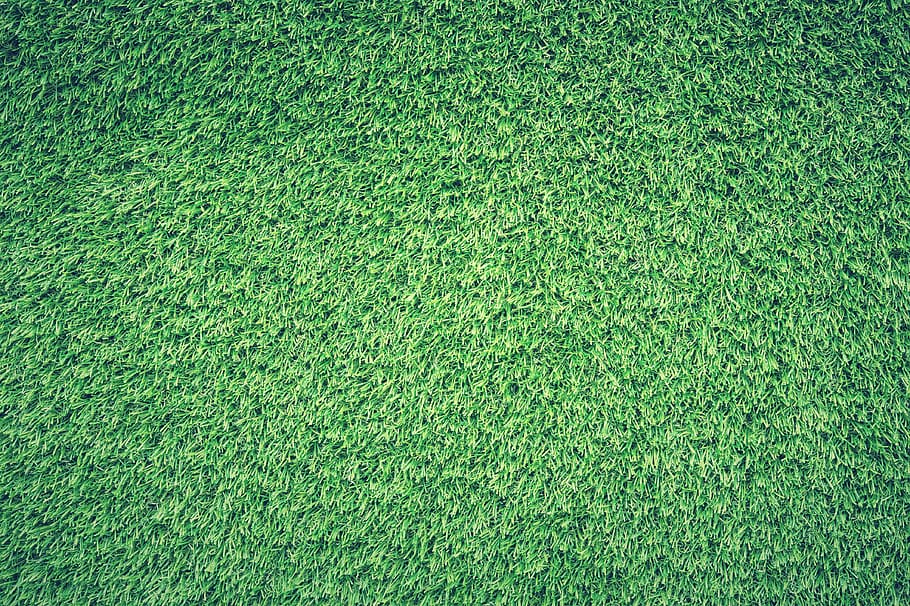 green, grass field, digital, wallpaper, field, grass, lawn, texture, backgrounds, green color