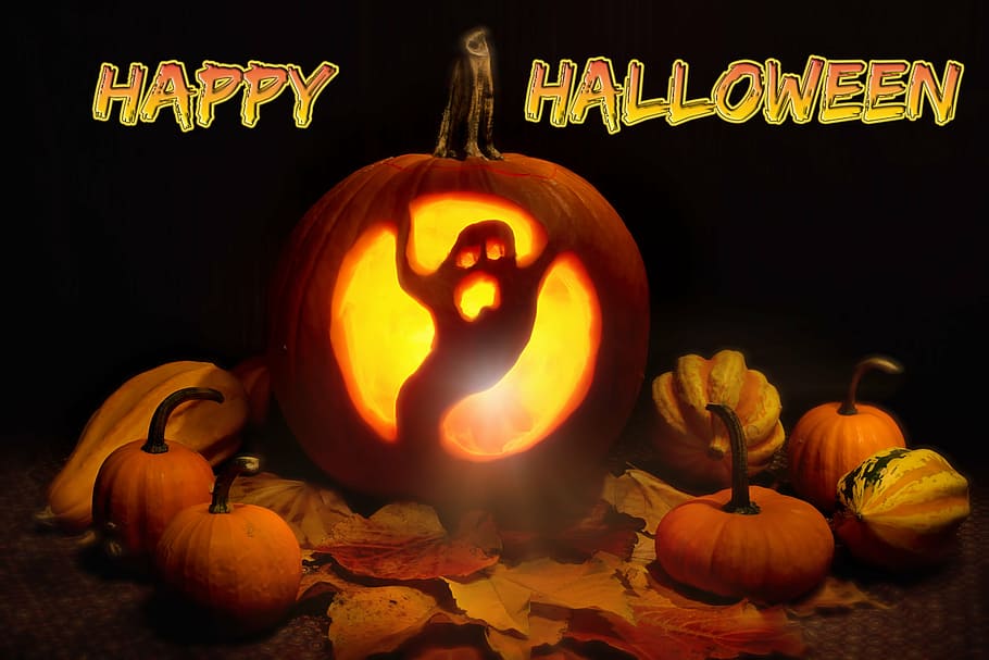 fantasma, tallado, calabaza, feliz, superposición de texto de halloween, iluminado, halloween, naranja, feriado, otoño