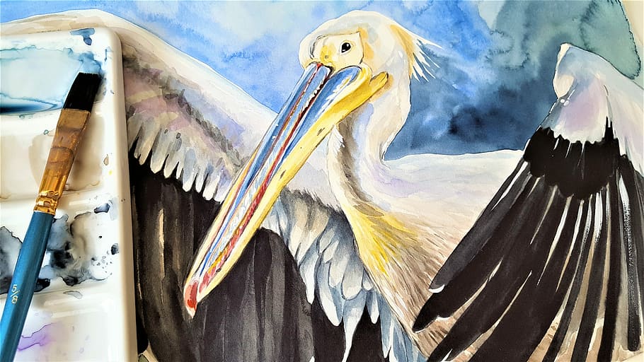 black, white, pelican painting, pelican, bird, animal, painting, watercolor, art, brush