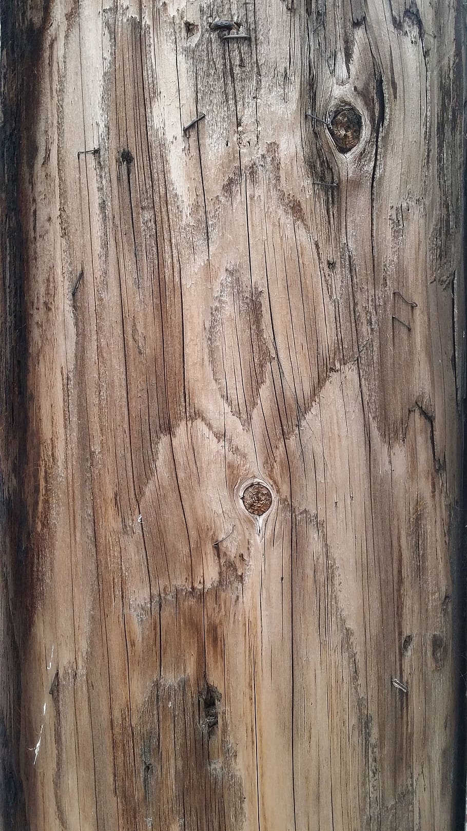 テクスチャ, 木材, 木材のテクスチャ背景, 広葉樹, 木製, 表面, 素材, ボード, 板, ラフ