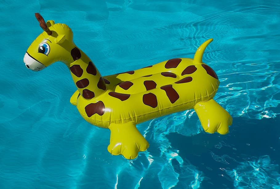 Boya, piscina, jirafa, amarillo, un animal, mar, fauna animal, temas de animales, bajo el agua, agua