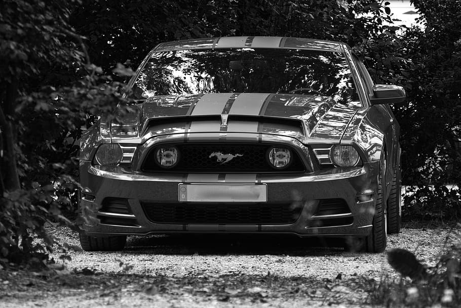 black ford mustang, auto, pkw, sports car, ford, mustang, ford mustang, black white, front, fast
