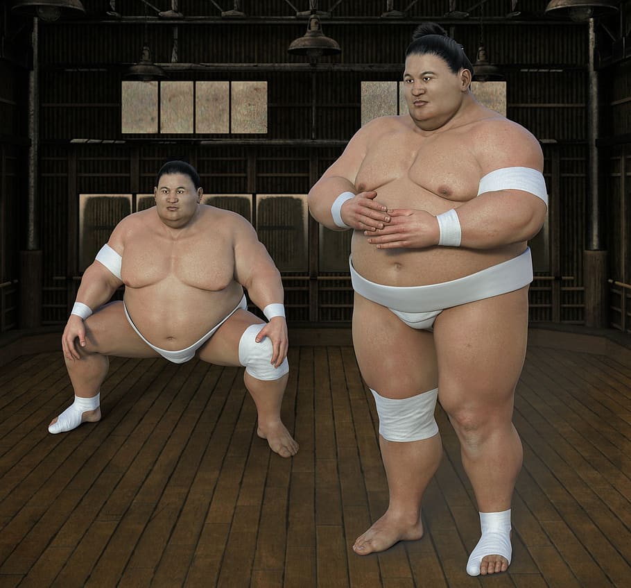 sumoringer, athlete, wrestler, hall, sport, overweight, sumo, man, sumō, thick