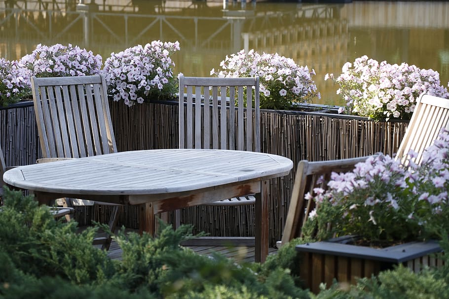 terrace, veranda, furniture, petunias, flowers, clearance, summer, love, nature, flower