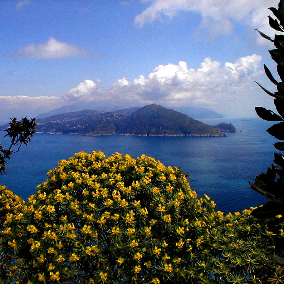vista, Capri, landscape photography of island, beauty in nature, sky, plant, scenics - nature, water, cloud - sky, tranquil scene