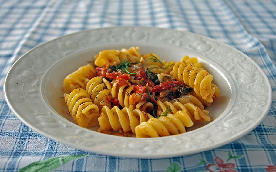 prato de macarrão, topo, volta, branco, prato, fusilloni, macarrão, itália, cozinha italiana, tomate