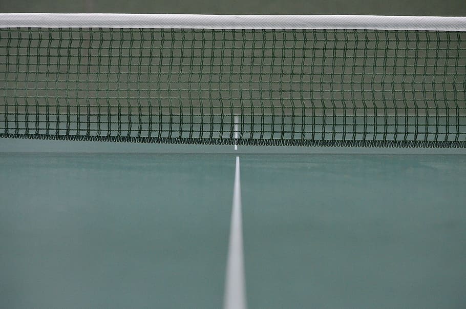 white tennis net, Table Tennis, Ping-Pong, Network, table tennis net, ping-pong table, sport, plate, pattern, indoors