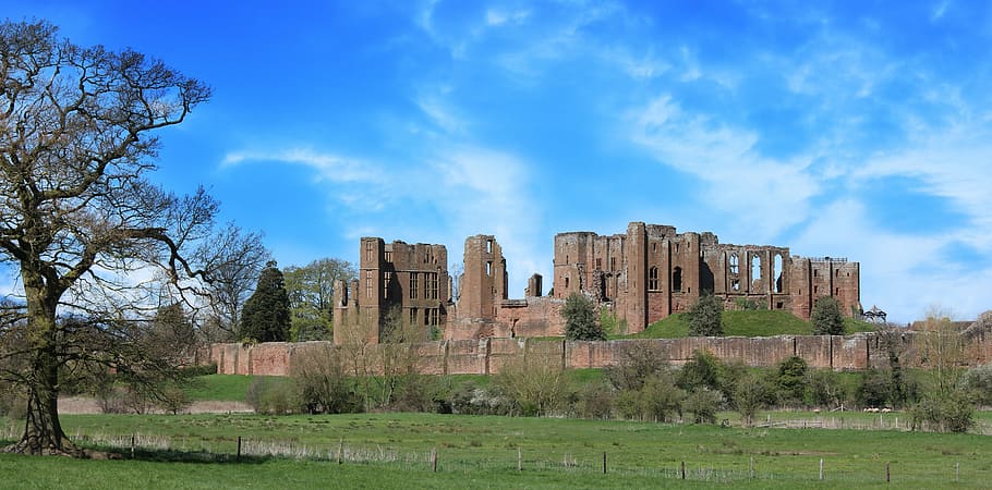 green, leafed, tree, brown, concrete, architectures, castle, kenilworth, old, medieval