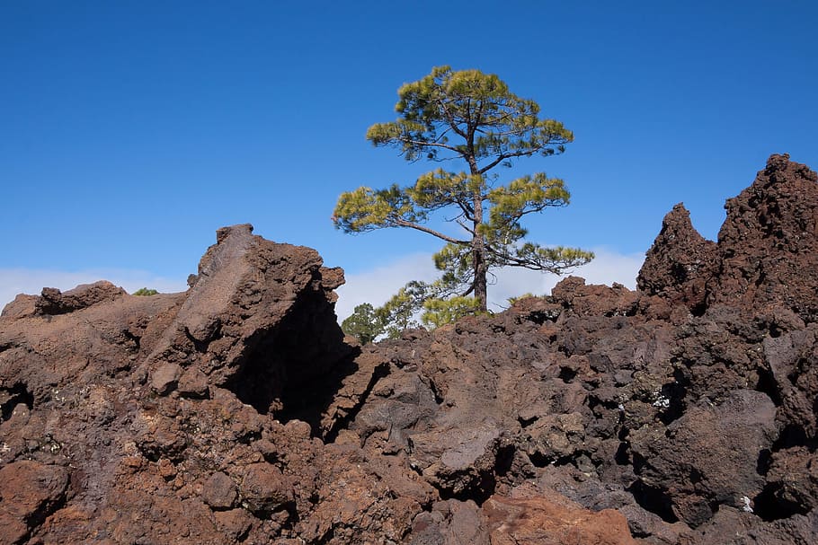 lava, lava rock, lava fields, boulders, lunar landscape, tenerife, teide, national park, lava flow, karg