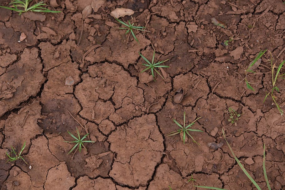 clay, ground, dry, texture, drought, cracks, earth, brown, mud, soil