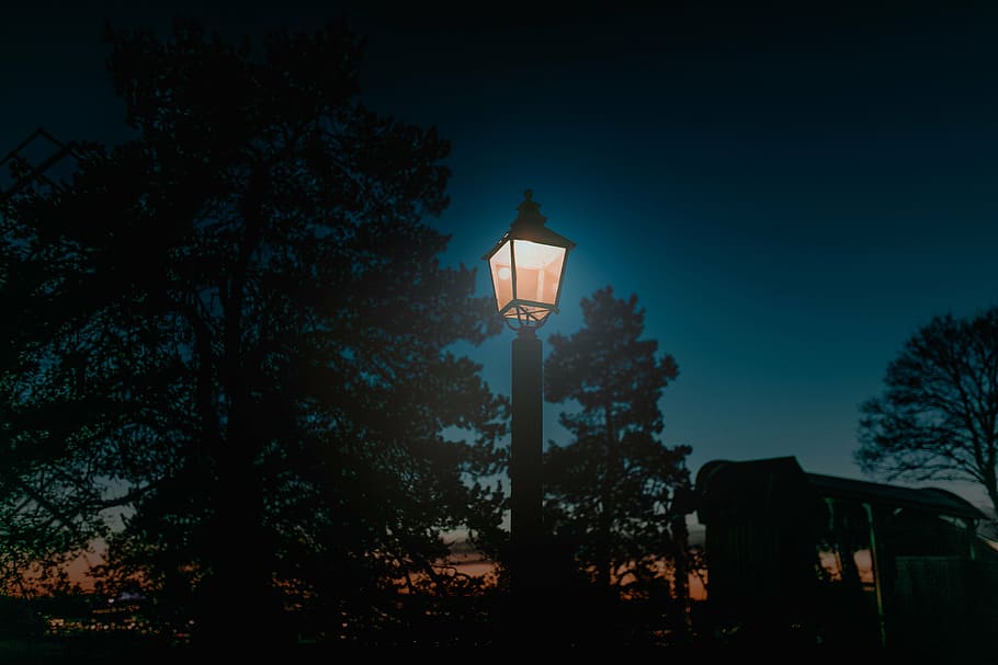 low, light photography, light post, nighttime, pole, lamp, outside, trees, plant, night
