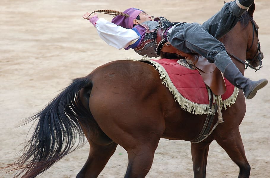 Dressage, Republic Of Korea, Gallery, stunts, horse, sand, two people, riding, adult, horseback riding