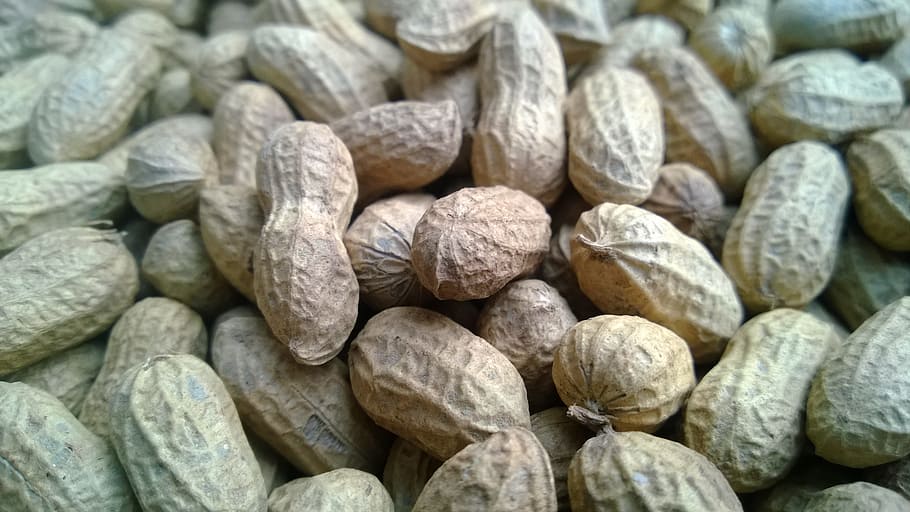 bundle of peanuts, food, healthy, nature, vegetarian, nuts, macro, fruit, diet, heap