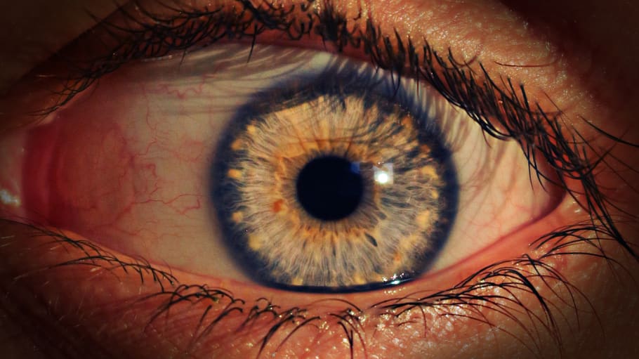 ojo, miedo, iris, pupila, ver rojo, pestañas, humano, naturaleza, ojo humano, vista