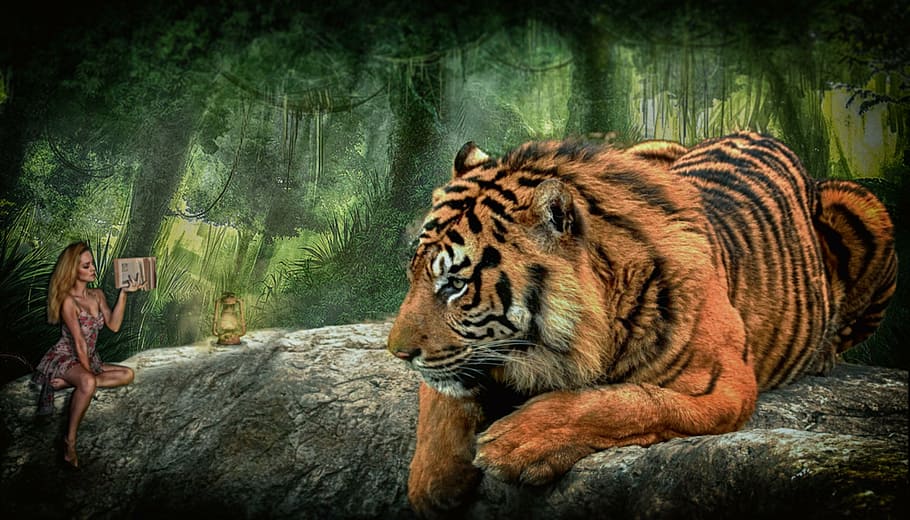 woman, sitting, tiger painting, tiger, forest, fairytale, mood, girl, fantasy, mysticism