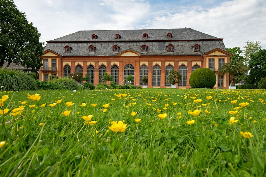 orangery, architecture, spring, flowers, places of interest, building, darmstadt, hesse, germany, europe