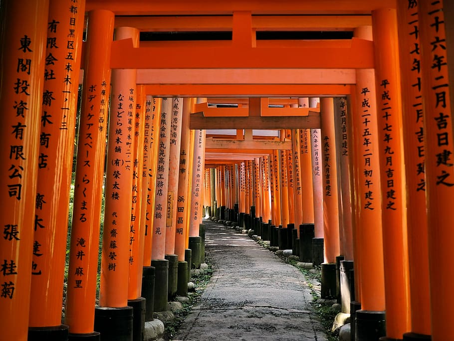 Japón, Kyoto, Templo, Sintoísta, color naranja, columna arquitectónica, espiritualidad, religión, lugar de culto, santuario