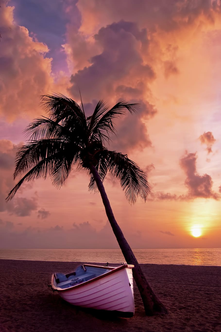 blanco, barco, al lado, cocotero, playa, puesta de sol, palmera, palma, océano, verano