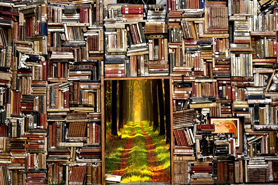 책 많은, 서적, 이야기, 숲, 마법의 세계, 마법, 문, 상상력, 도서, 독서