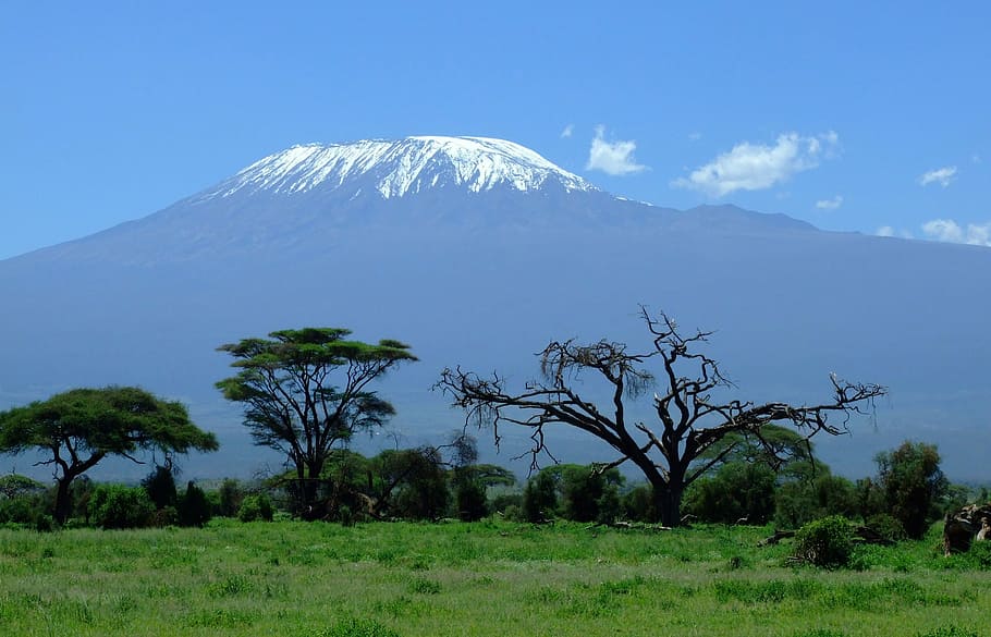 mount, kilimanjaro landscape, rising, behind, trees, Mount Kilimanjaro, landscape, photos, majestic, mountain