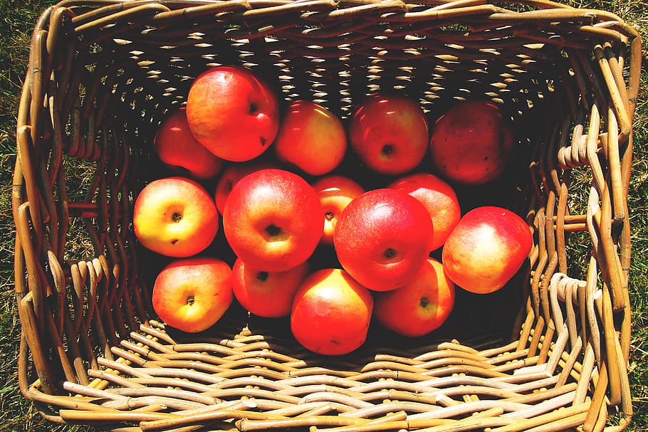 tiro, cesta, manzanas, Arriba, cesta de manzanas, comida / bebida, dieta, comida, fruta, saludable