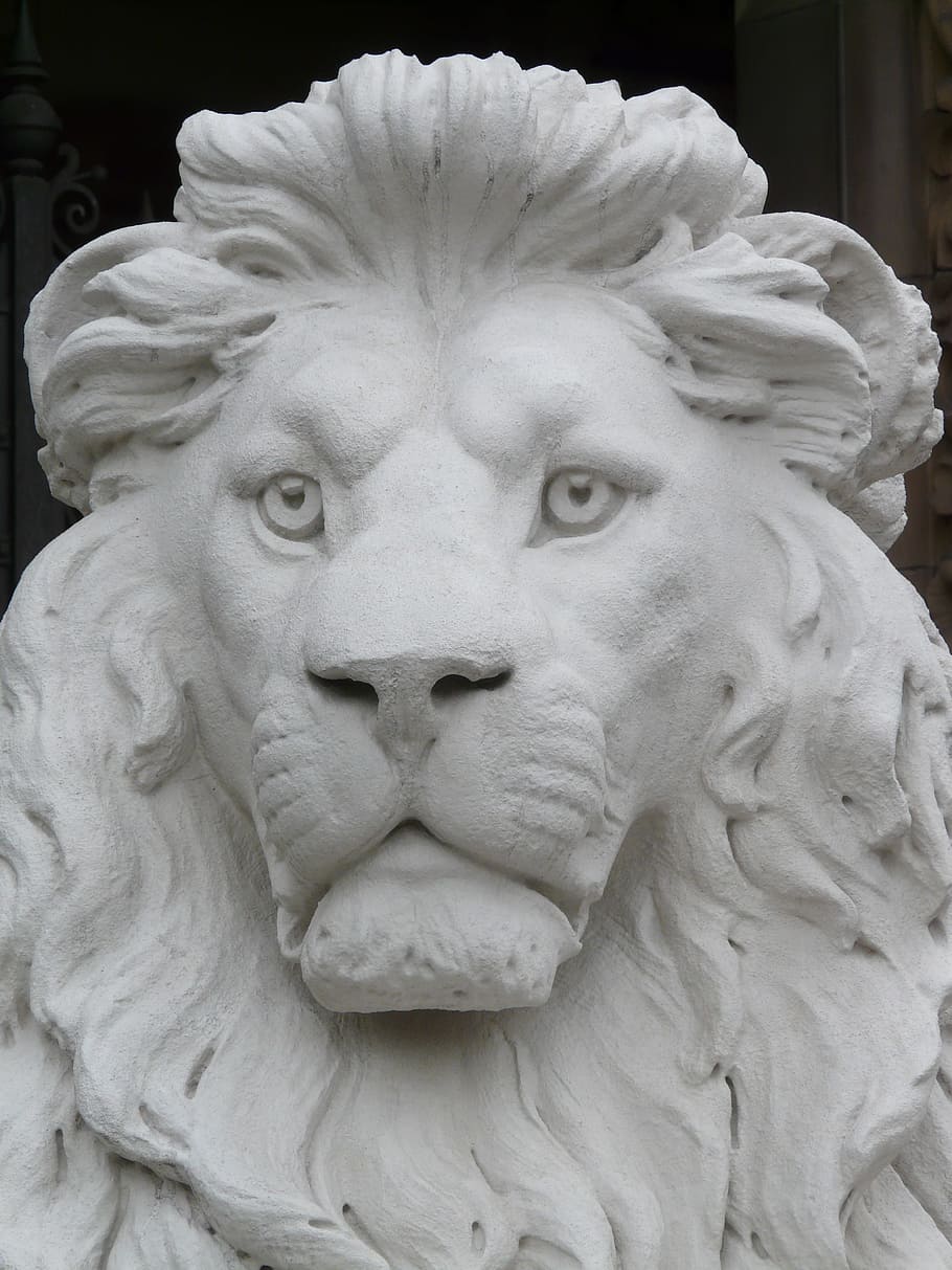 ライオン, 彫像, 図, 石膏, 白, 動物, チョーク図, 彫刻, 芸術と工芸, 表現