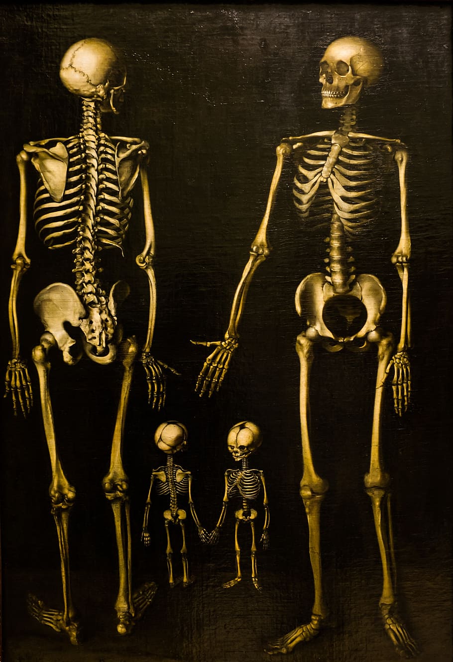 esqueleto humano, esqueletos, familia, caja, pintura, huesos, cráneo, muerte, guerra, peste