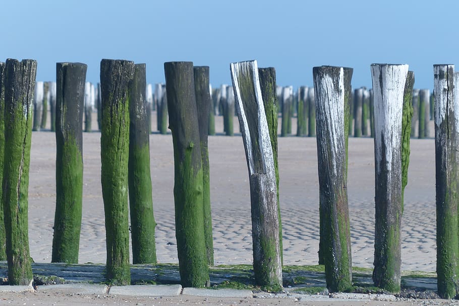 palisades, walcheren, sea wall, boundary, fence, barrier, post, wood - material, in a row, safety