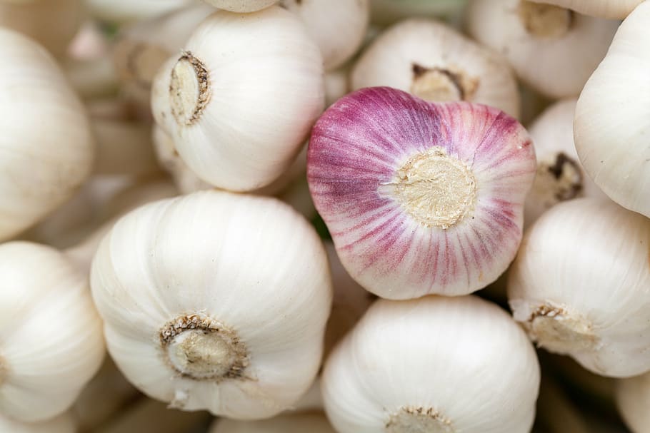 white, garlic bulb lot, aromatic, background, bulb, condiment, food, fresh, garlic, gourmet