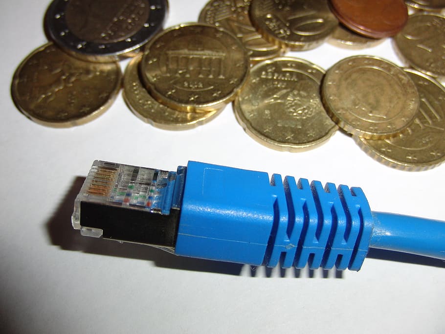 power cord, cable, plug, internet, wlan, blue, money, network, coin, euro