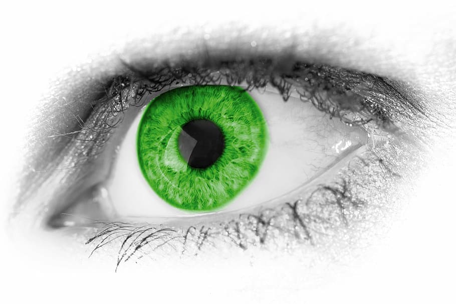 selective, green, eye, abstract, beautiful, beauty, close, close-up, detail, eyeball