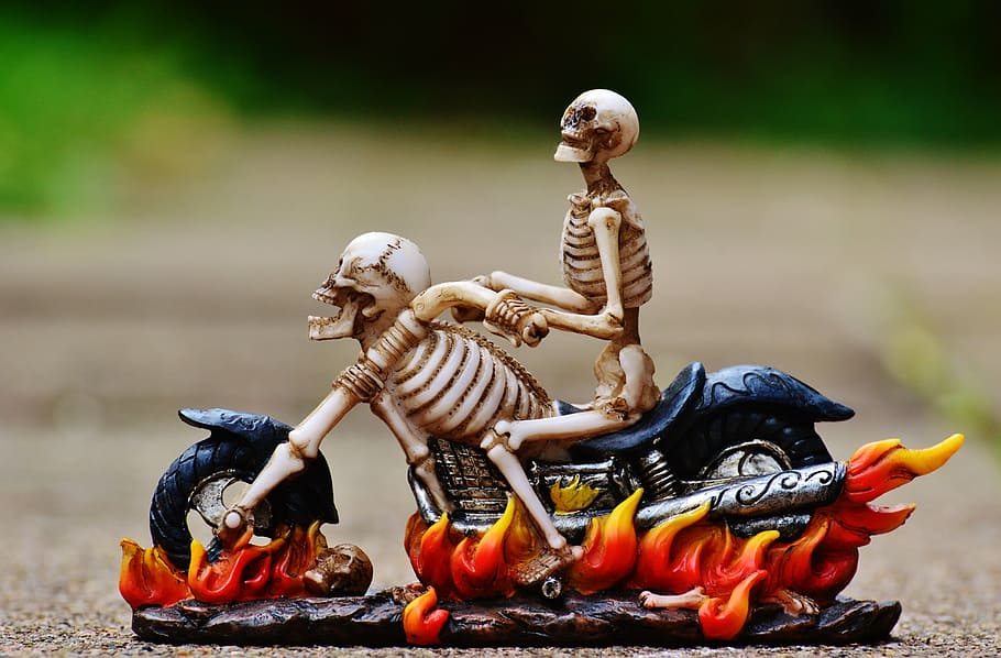 motociclista, esqueleto, assustador, estranho, decoração, osso, crânio e ossos cruzados, crânio, osso do crânio, gótico