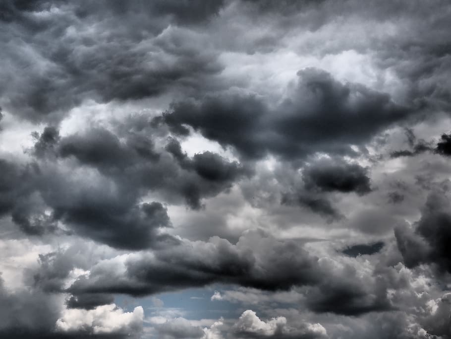 pássaro, fotografia da vista ocular, nuvens cumulus, branco, cinza, nuvens, céu, sombrio, dramático, nuvens se formam