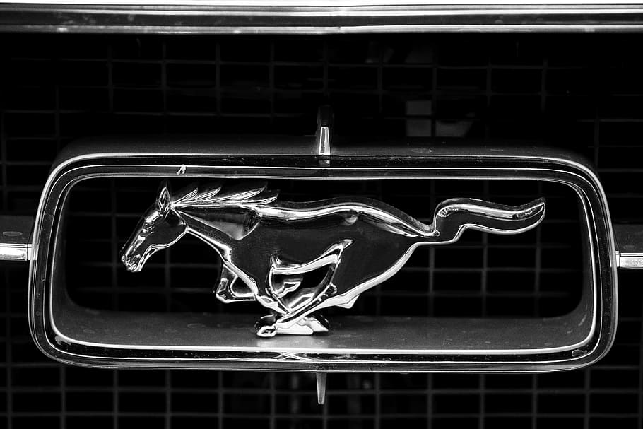 closeup, ford mustang emblem, Ford Mustang, Auto, Logo, Horse, ford, automotive, vehicle, pony