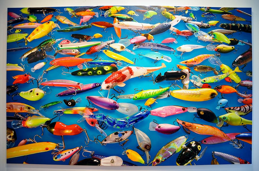 pintura de señuelos de pesca, venecia, bienal 2011, anzuelos de pesca, Multi color, filtro de auto producción, impresión de transferencia, representación animal, gran grupo de objetos, ninguna gente