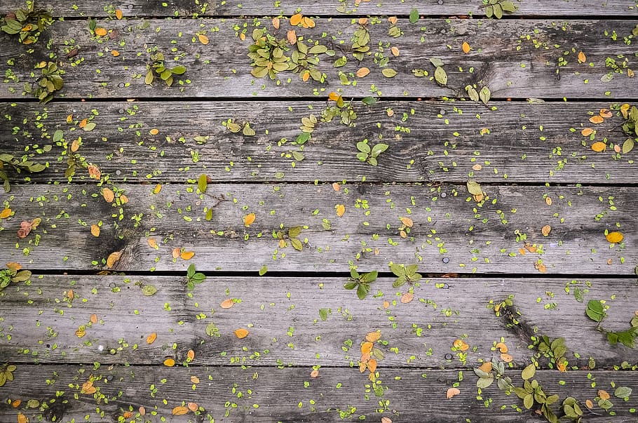 leaves, gray, wooden, panel, wooden boards, wood, wall, background, natural, wooden planks