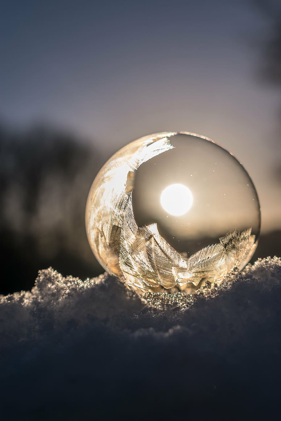 claro, fotografia de bola, nascer do sol, bolha de sabão, congelado, bolha congelada, inverno, frio, neve, bola