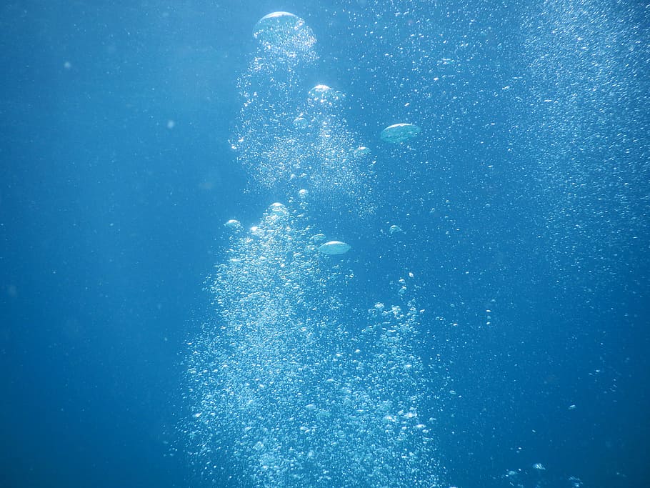 gelembung air, air, menyelam, bawah air, laut, gelembung, bawah laut, petualangan, alam, biru