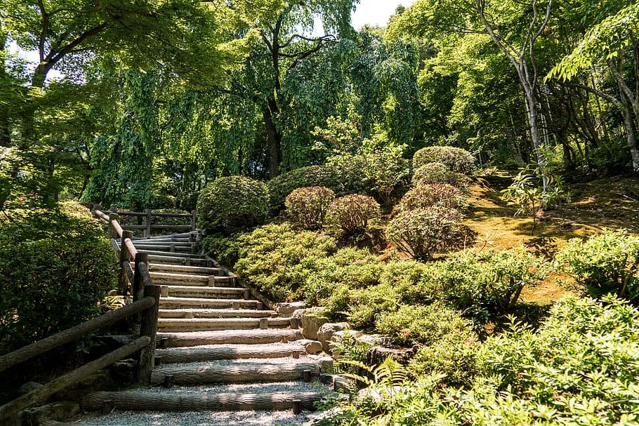 outdoor, stairs, daytime, arashiyama, japan stairs, path park, kyoto, green, nature, asia