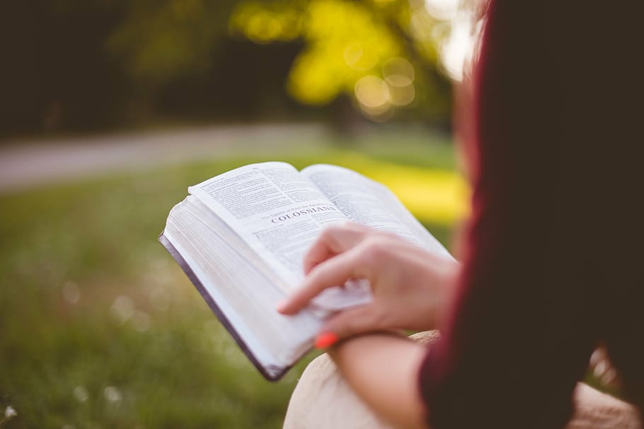 selective-focus, photography, person, reading, book, holy, bible, people, girl, sitting