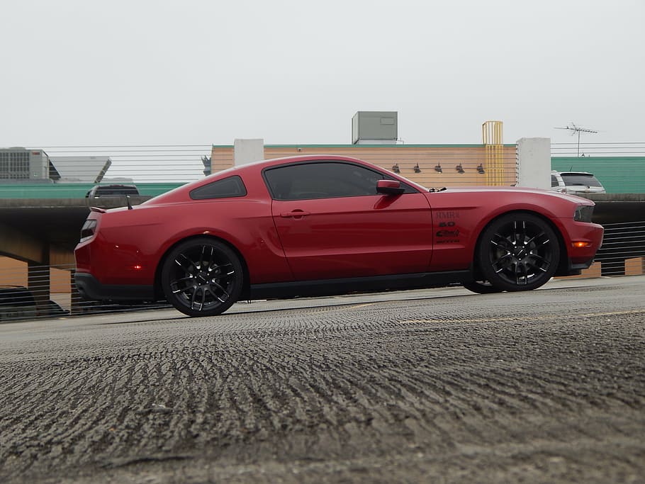 Mustang, coche de carreras, automóvil, v8, coche, Ford, muscle car, Transporte, modo de transporte, vehículo de motor