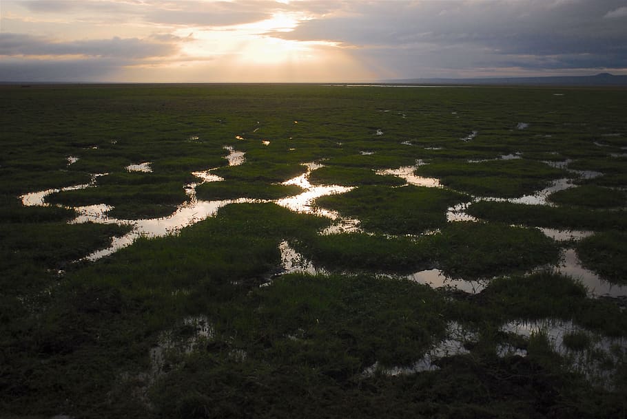 earth hour, reflection, marsh, africa, sky, earth-day, landscape, wilderness, climate change, climate crisis