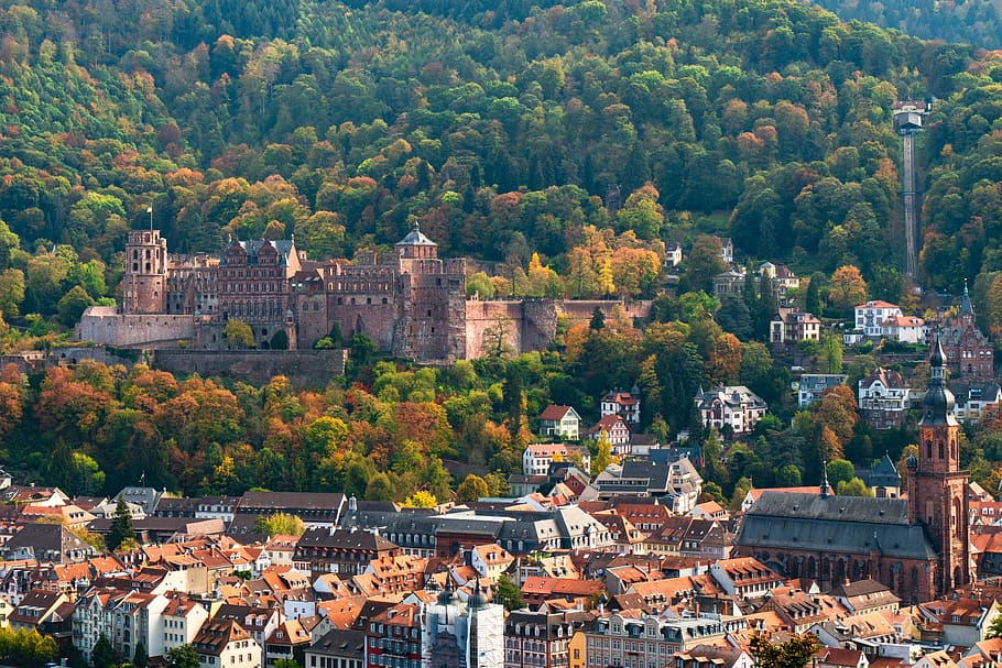 heidelberg, castelo, centro histórico, historicamente, alemanha, arquitetura, estrutura construída, exterior do edifício, árvore, construção