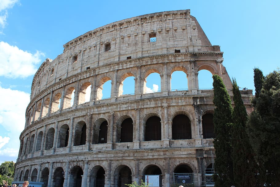colosseum, rome, italy, daytime, buildings, architecture, culture, ancient, history, the past