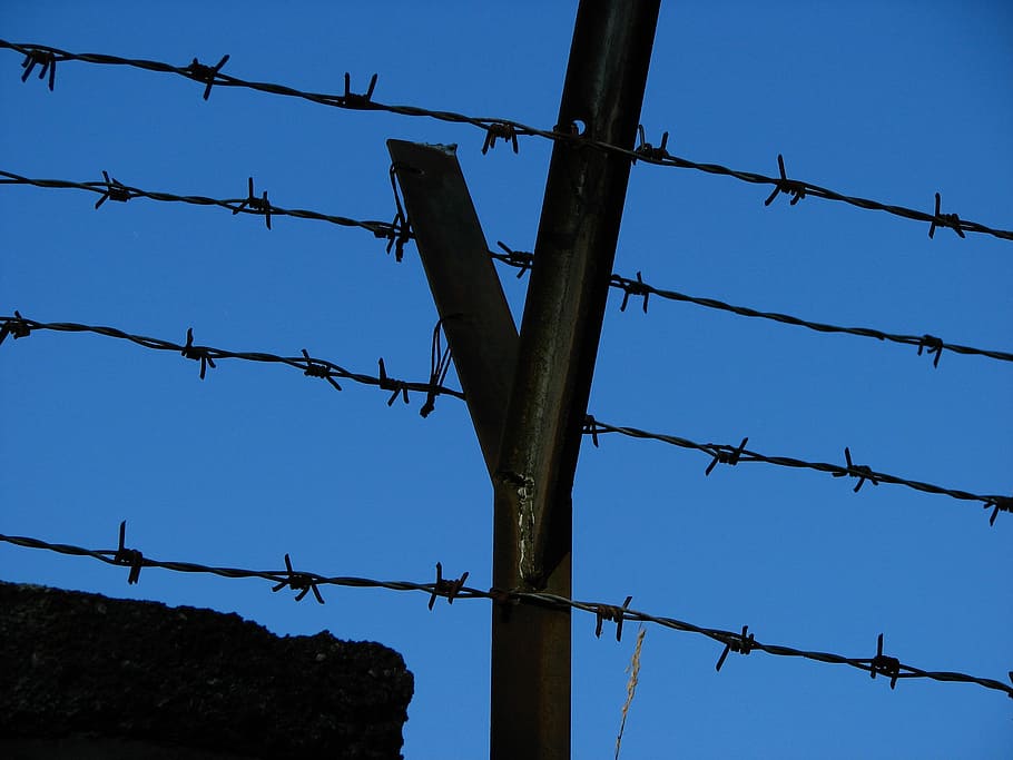 wire, barbed wire, fence, caught, pointed, sky, thorn, close, metal, demarcation