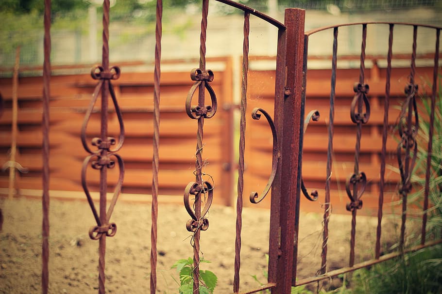 Old Iron, Fence, Gate, old iron fence, iron, wrought, old, metal, background, growth