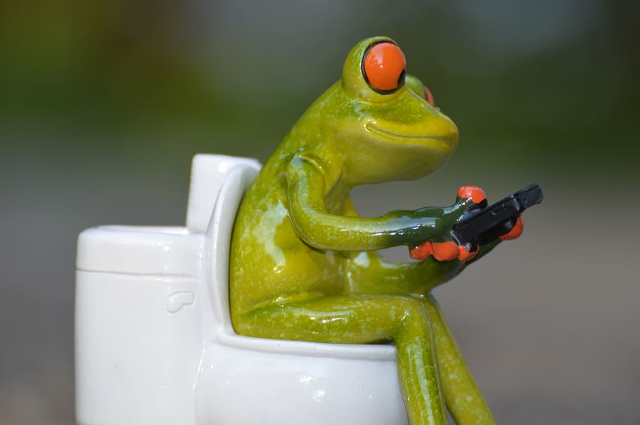 frog, mobile phone, toilet, loo, wc, funny, session, cute, animal, green